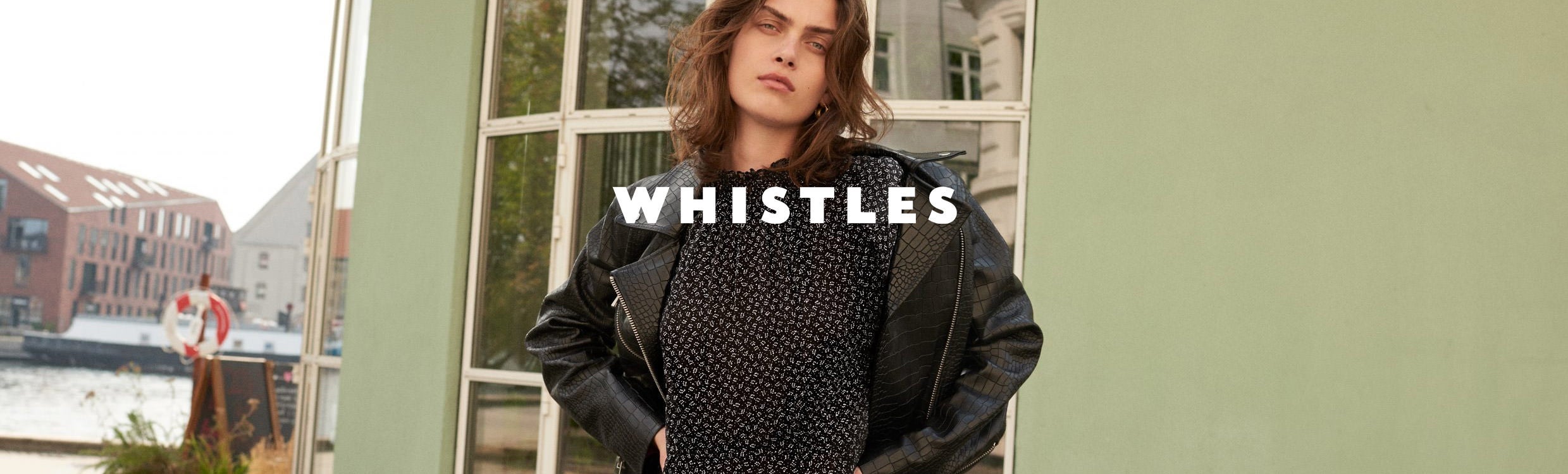 D_Whistles_03.jpg Image